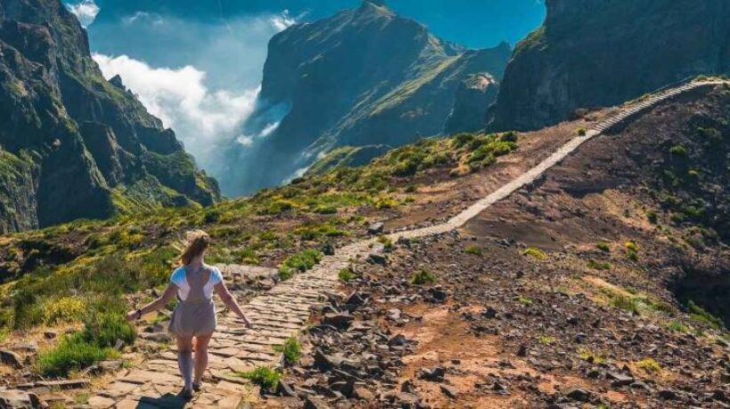 Discover the Best Microclimate Hiking Trails: A Unique Experience Awaits